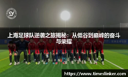 8868体育官方网站