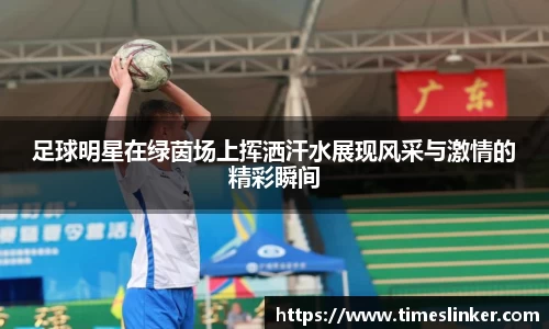 足球明星在绿茵场上挥洒汗水展现风采与激情的精彩瞬间
